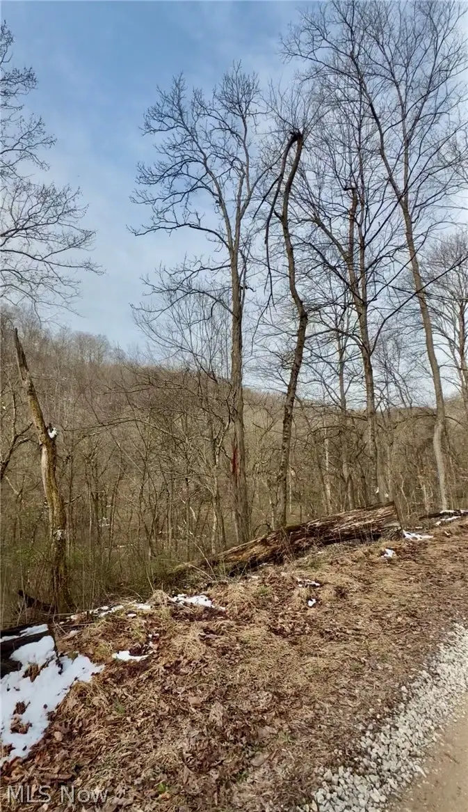 0 Sugar Creek Road, Saint Marys, WV 26170 - #3