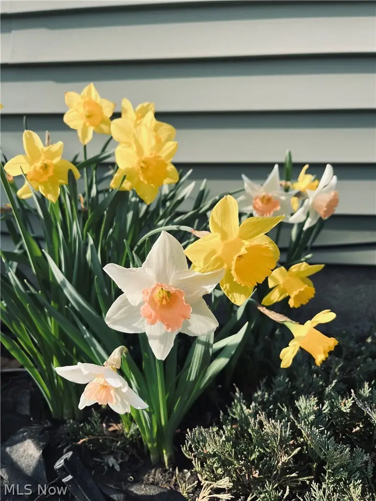 7063 Lake Road, Madison, OH 44057 - #3