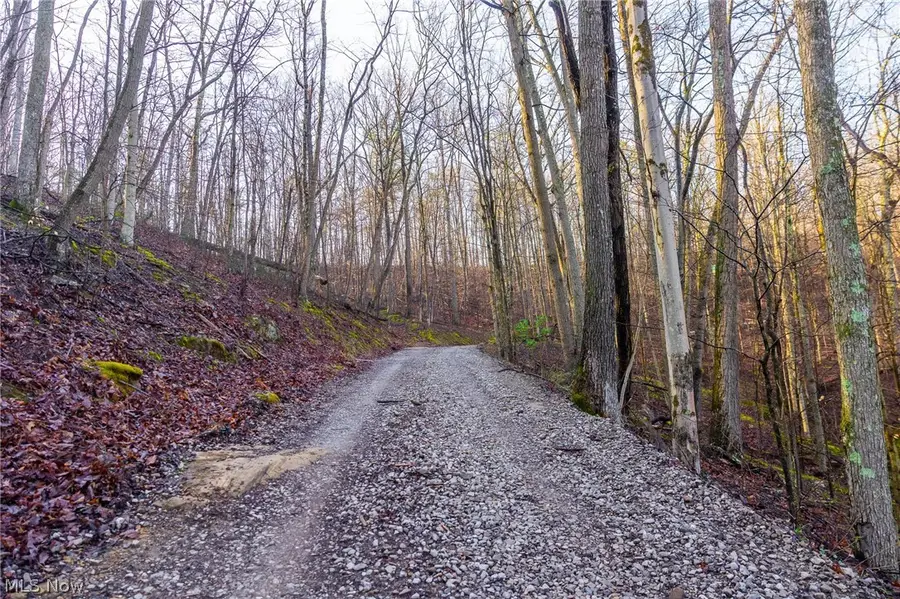 1590 Mcgregor Road, New Matamoras, OH 45767 - #2