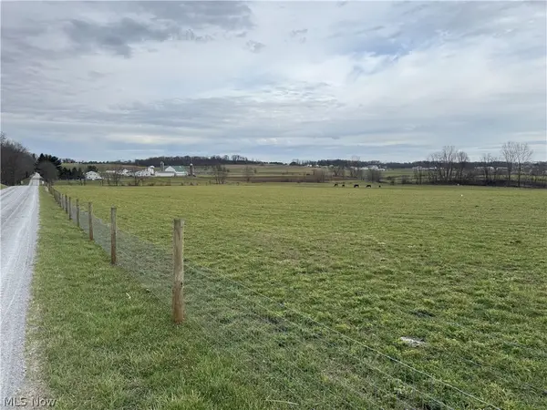 Township Road 613, Fredericksburg, OH 44627