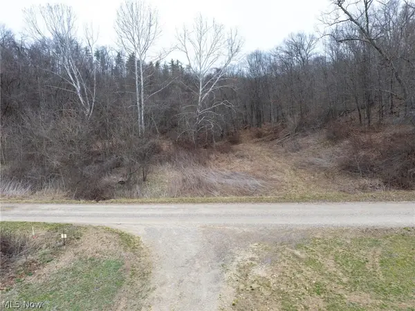 Sarchets Run Road, Cambridge, OH 43725