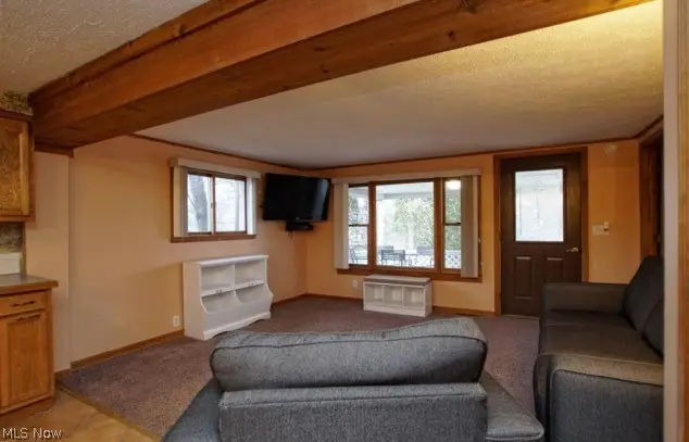 864 Shadybrook Drive, Akron, OH 44312 - #3