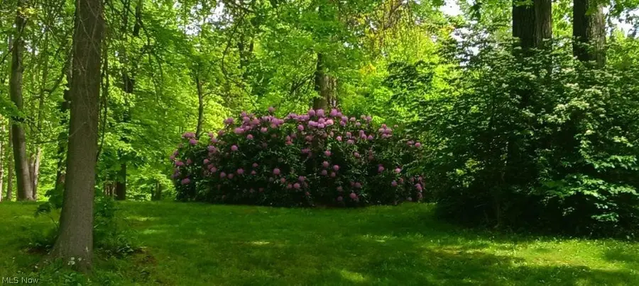 170 West Main St/ Us Rt 322, Orwell, OH 44076 - #3