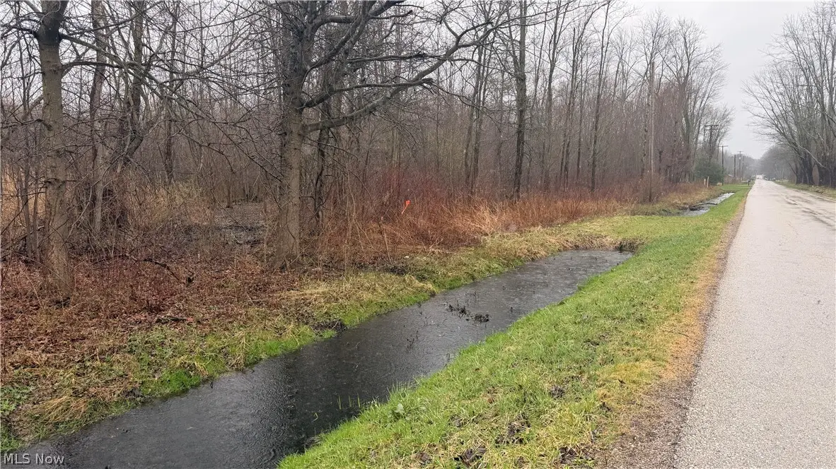 Ninevah Road, Geneva, OH 44041 - #1