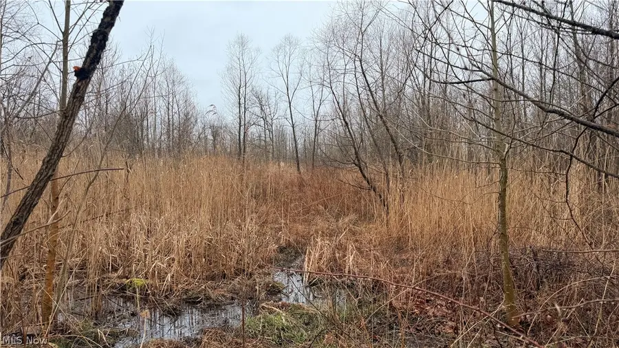 Ninevah Road, Geneva, OH 44041 - #3