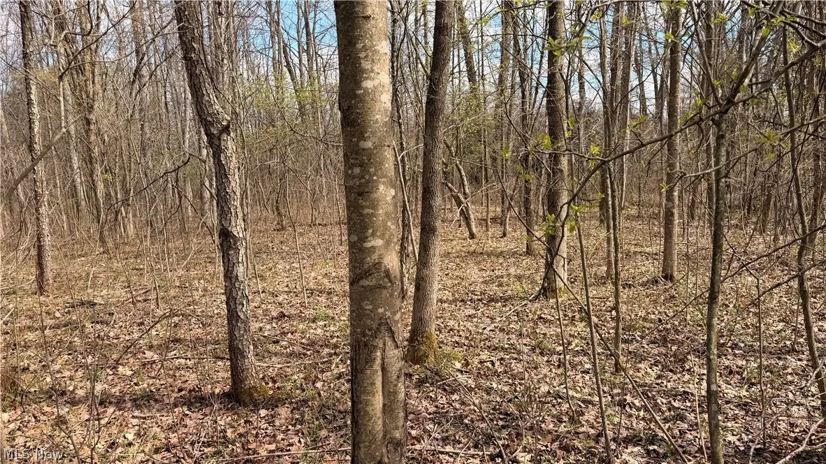 Addison Road, Masury, OH 44438 - #1