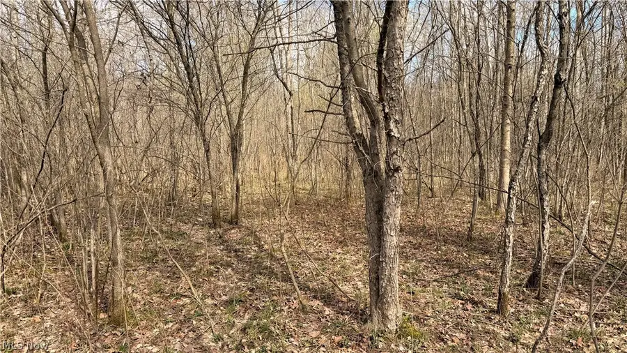 Addison Road, Masury, OH 44438 - #2