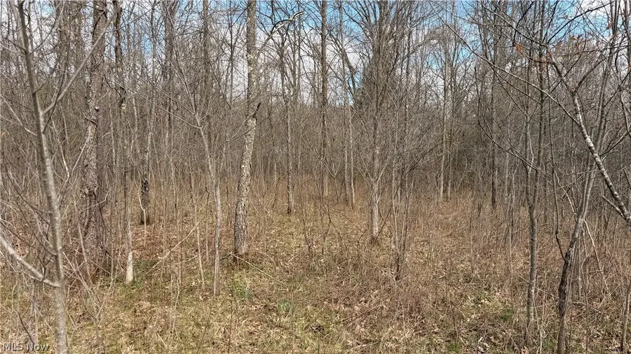 Addison Road, Masury, OH 44438 - #3