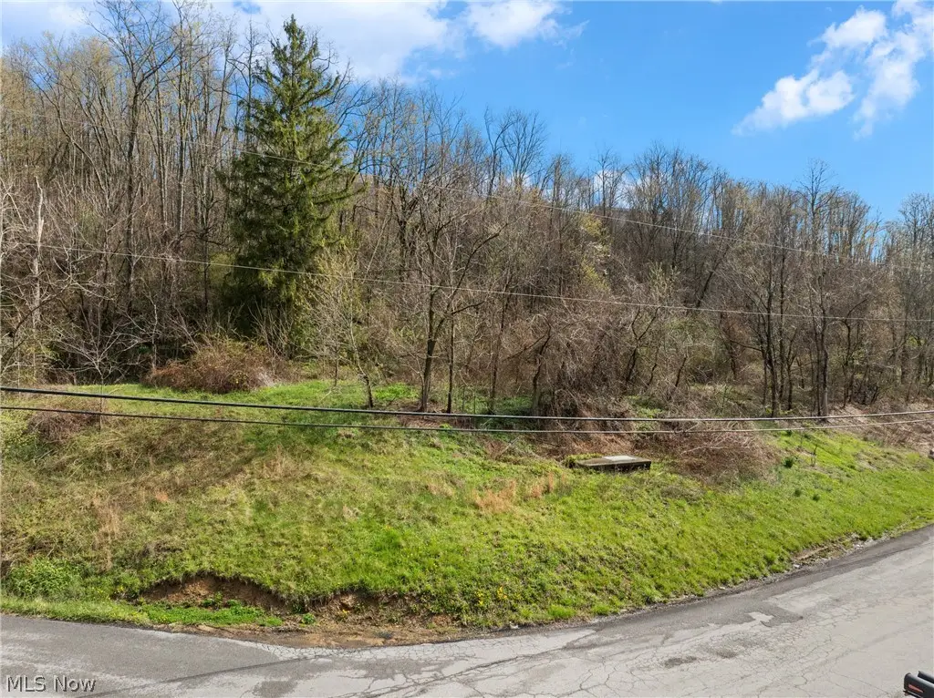 Big Way, Shadyside, OH 43947 - #1