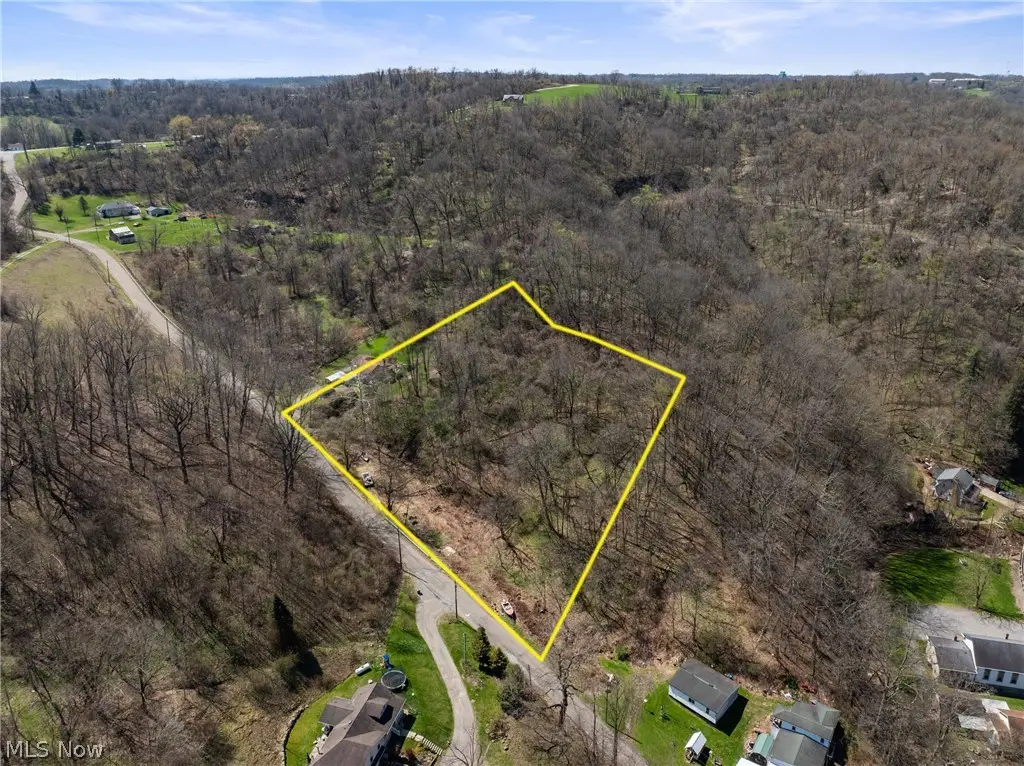 115 Township Road 501, Mingo Junction, OH 43938 - #1