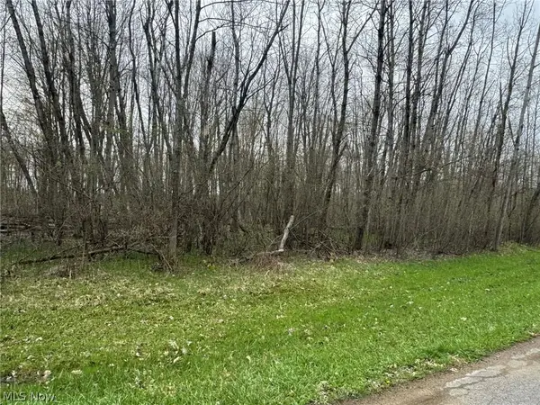 1753 Morning Star Drive, Roaming Shores, OH 44084