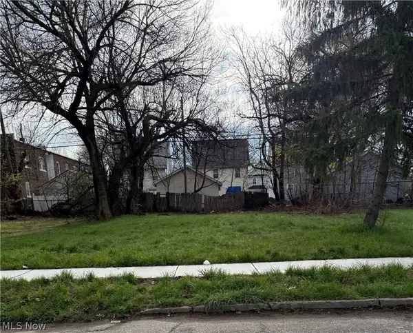 2215 E 95th Street, Cleveland, OH 44106