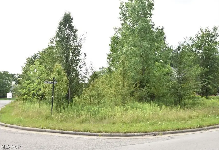 Saddlebrook Lot 123 Drive, Boardman, OH 44512 - #2