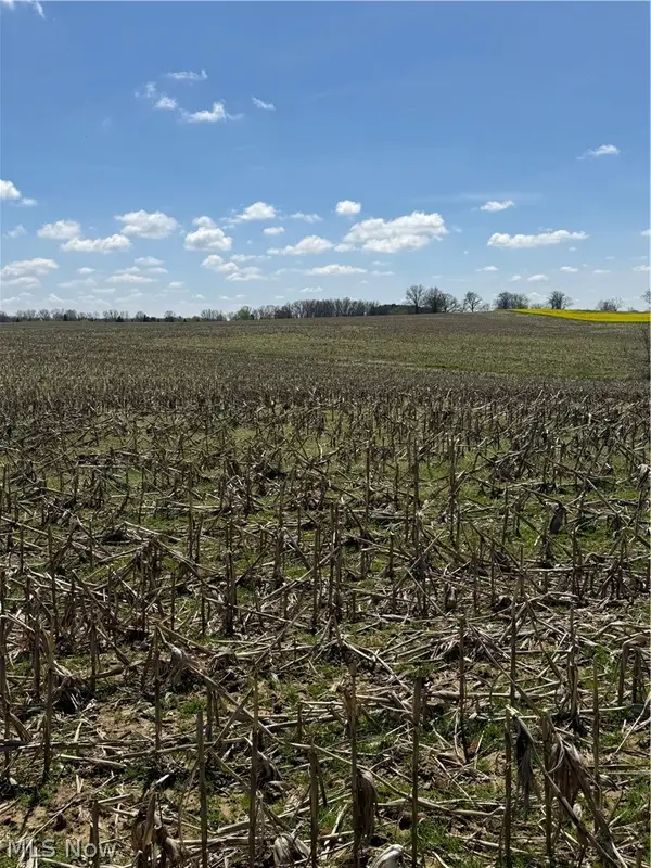 V/l Bieri Road, Marshallville, OH 44645