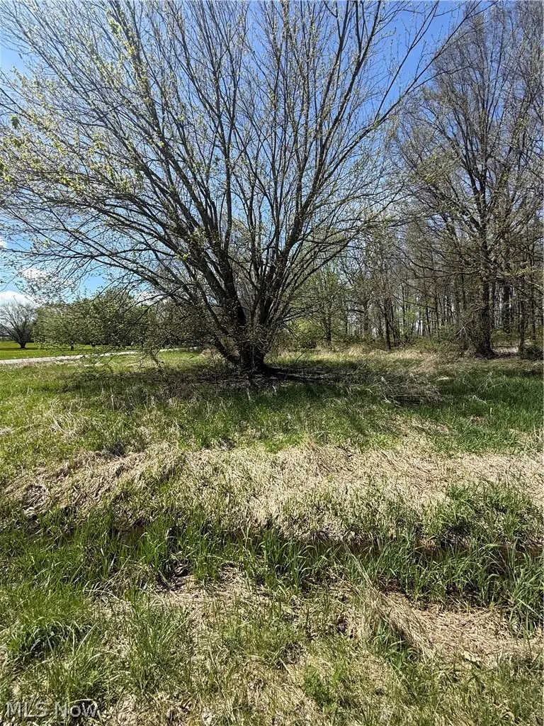 V/l Warwick Road, Marshallville, OH 44645 - #1