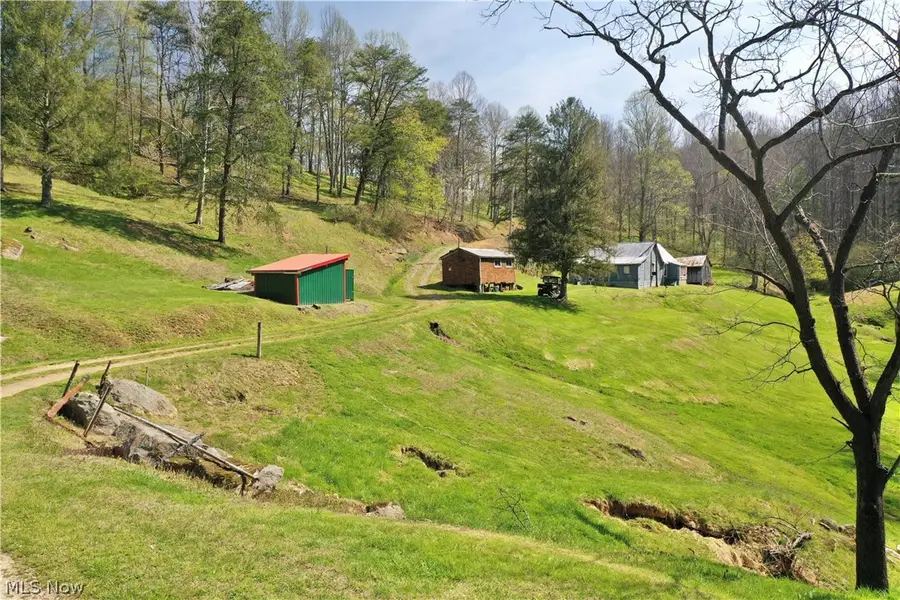 6670 Lower Run Road, Center, WV 25267 - #3