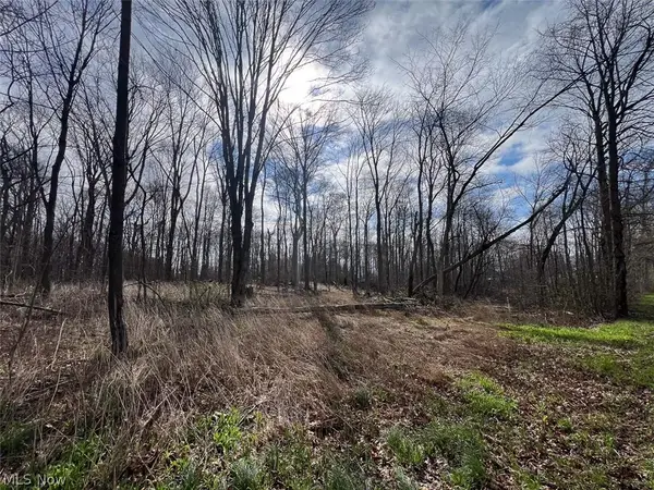 Schubert Ne Avenue, Alliance, OH 44601