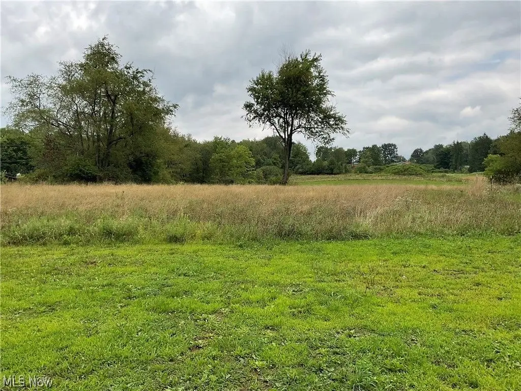 49386 Fredericktown Clarkson Road, Negley, OH 44441 - #1