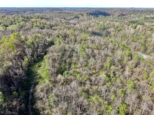 0 Harrons Ridge Road, Dexter City, OH 45727