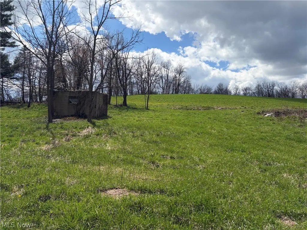 Township Road 177, Baltic, OH 43804 - #1