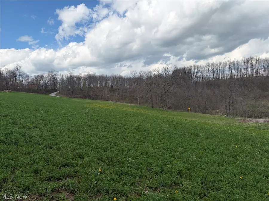 Township Road 177, Baltic, OH 43804 - #3