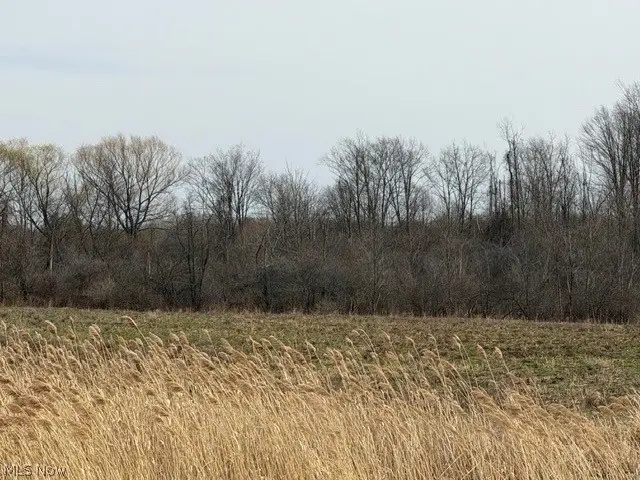 S Madison Road, Madison, OH 44057 - #2