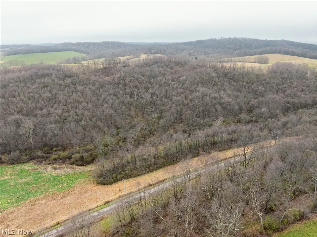 Buck Hill Road, Frazeysburg, OH 43822 - #1
