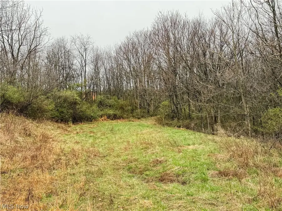 Buck Hill Road, Frazeysburg, OH 43822 - #2