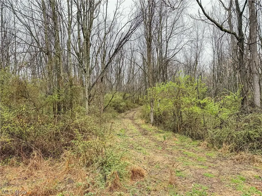 Buck Hill Road, Frazeysburg, OH 43822 - #3