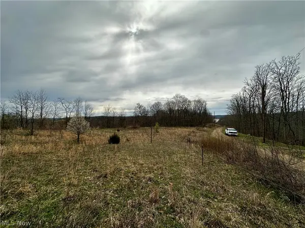 35840 Swan Road, Long Bottom, OH 45743