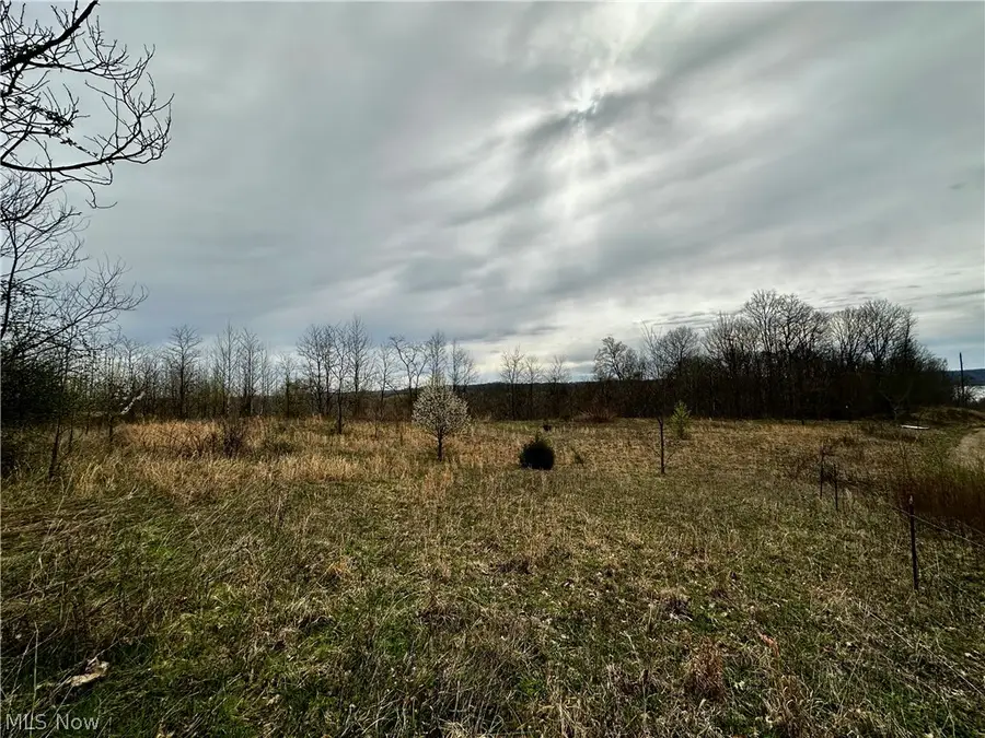 35840 Swan Road, Long Bottom, OH 45743 - #3