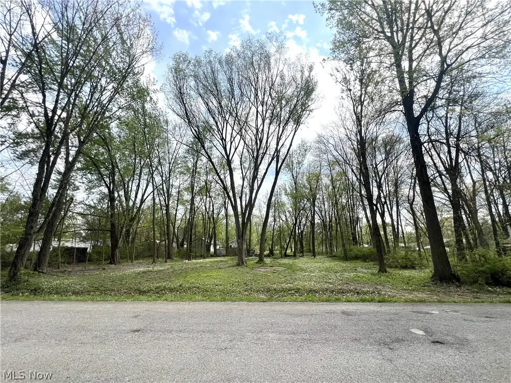 Afton Avenue, Lake Milton, OH 44429 - #1