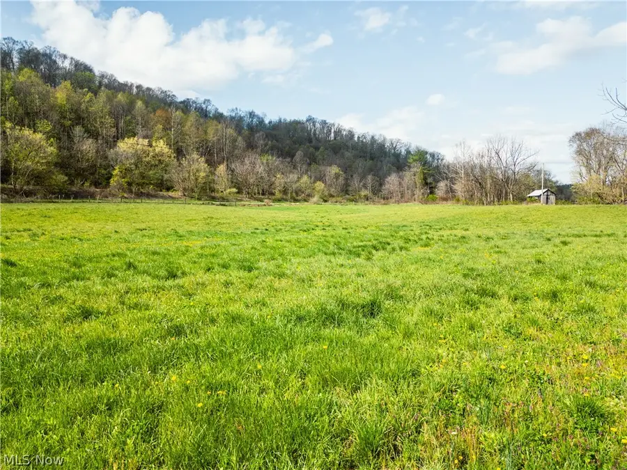 47691 E Captina Highway Road, Alledonia, OH 43902 - #2