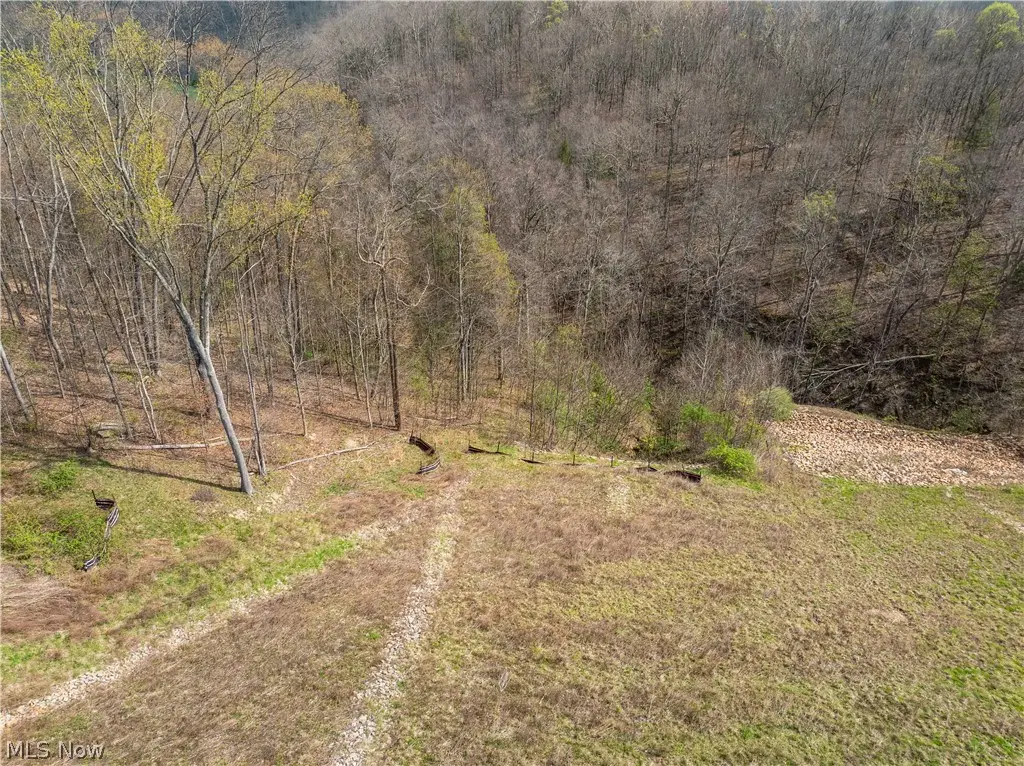 0 E Captina Highway Road, Alledonia, OH 43902 - #1