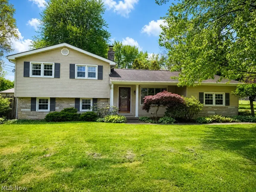 4259 Carlisle Avenue, Youngstown, OH 44511 - #1