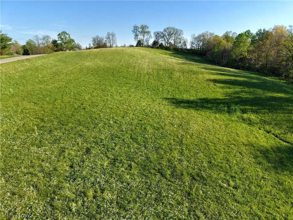 Johnson Ridge Road #4.6+-, Stockport, OH 43787 - #1