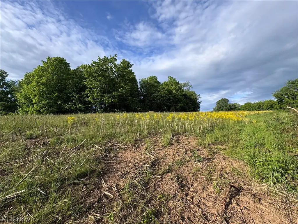 Walker Hill Road #11+-, Stockport, OH 43787 - #1