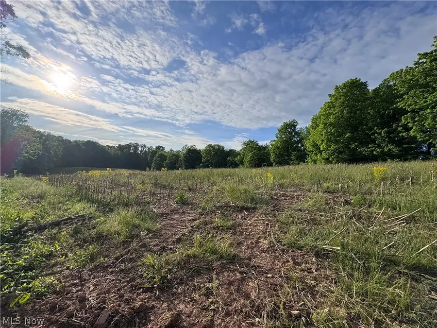Walker Hill Road #11+-, Stockport, OH 43787 - #2