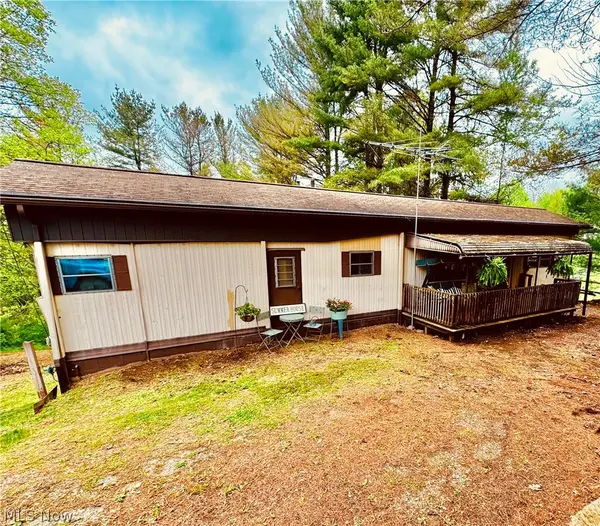 71100 Skyline Drive, Piedmont, OH 43983