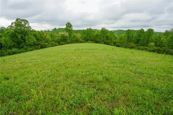 Van Fossen Ln, Chesterhill, OH 43728