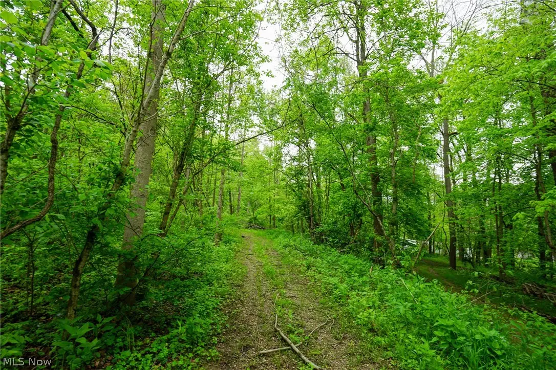 Ervin Ln, Stockport, OH 43787 - #1