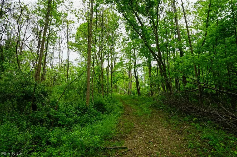 Ervin Ln, Stockport, OH 43787 - #3
