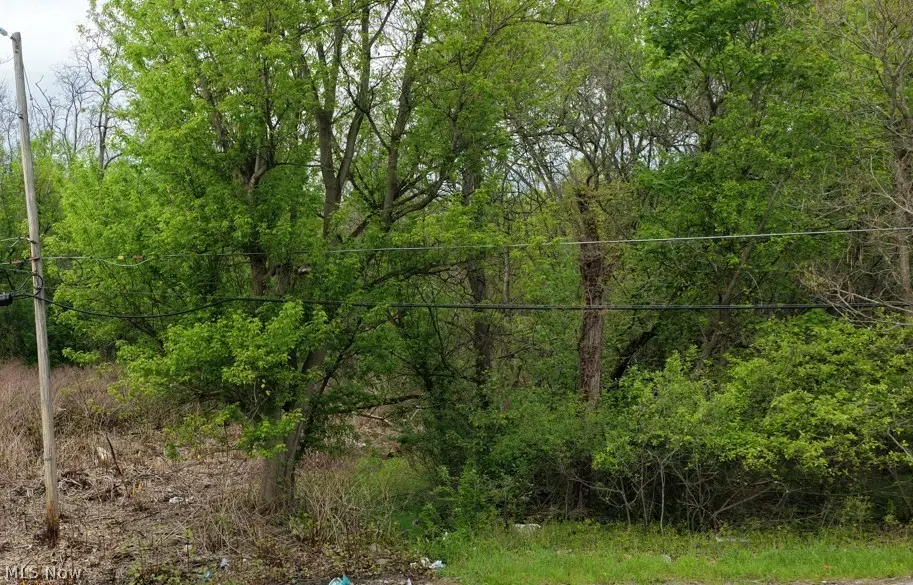 0 Montgomery Avenue, Campbell, OH 44506 - #1