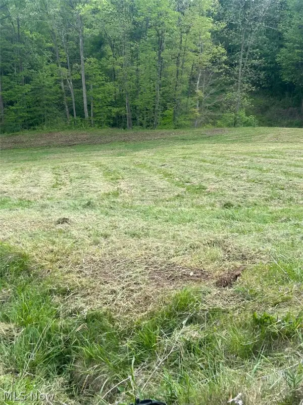 County Line Road, St Marys, WV 26170