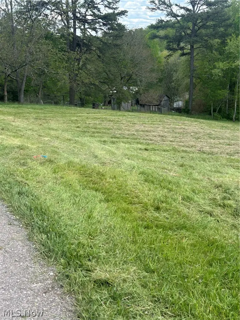 County Line Road, Saint Marys, WV 26170 - #2