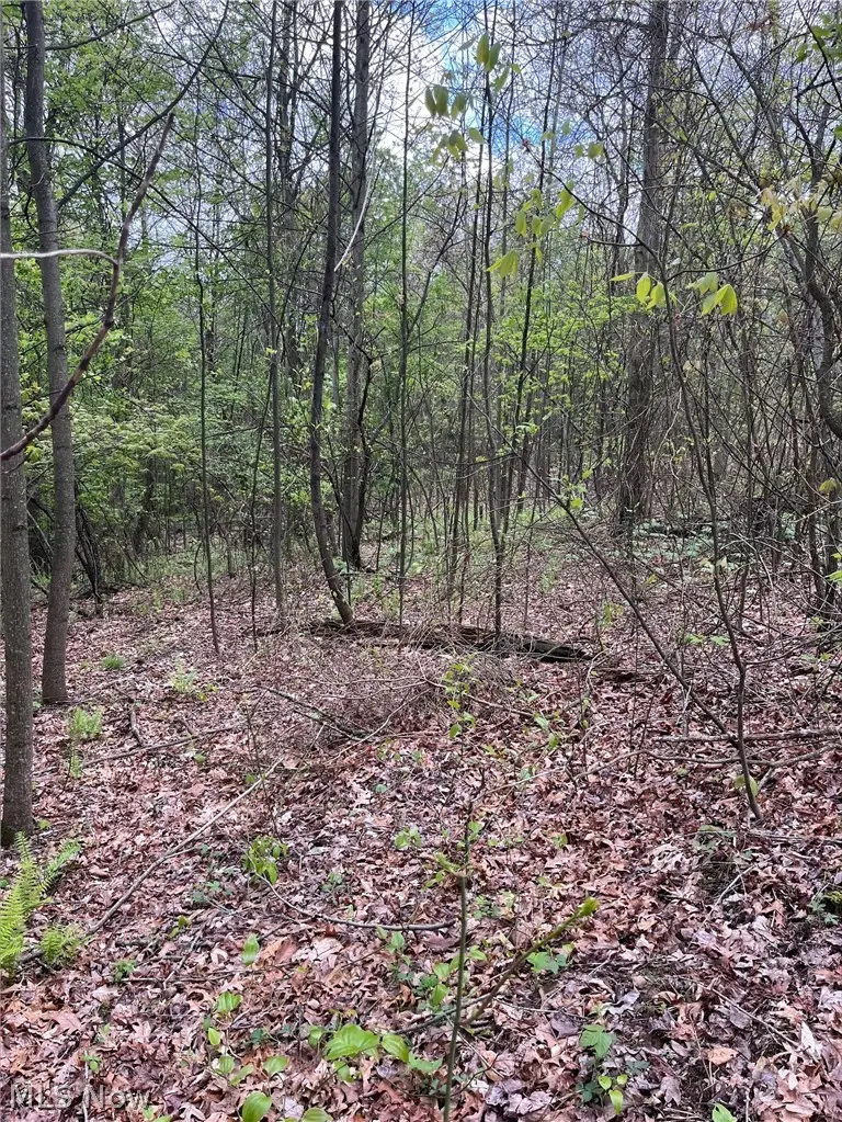 Sandy Ridge Road, Tippecanoe, OH 44699 - #2