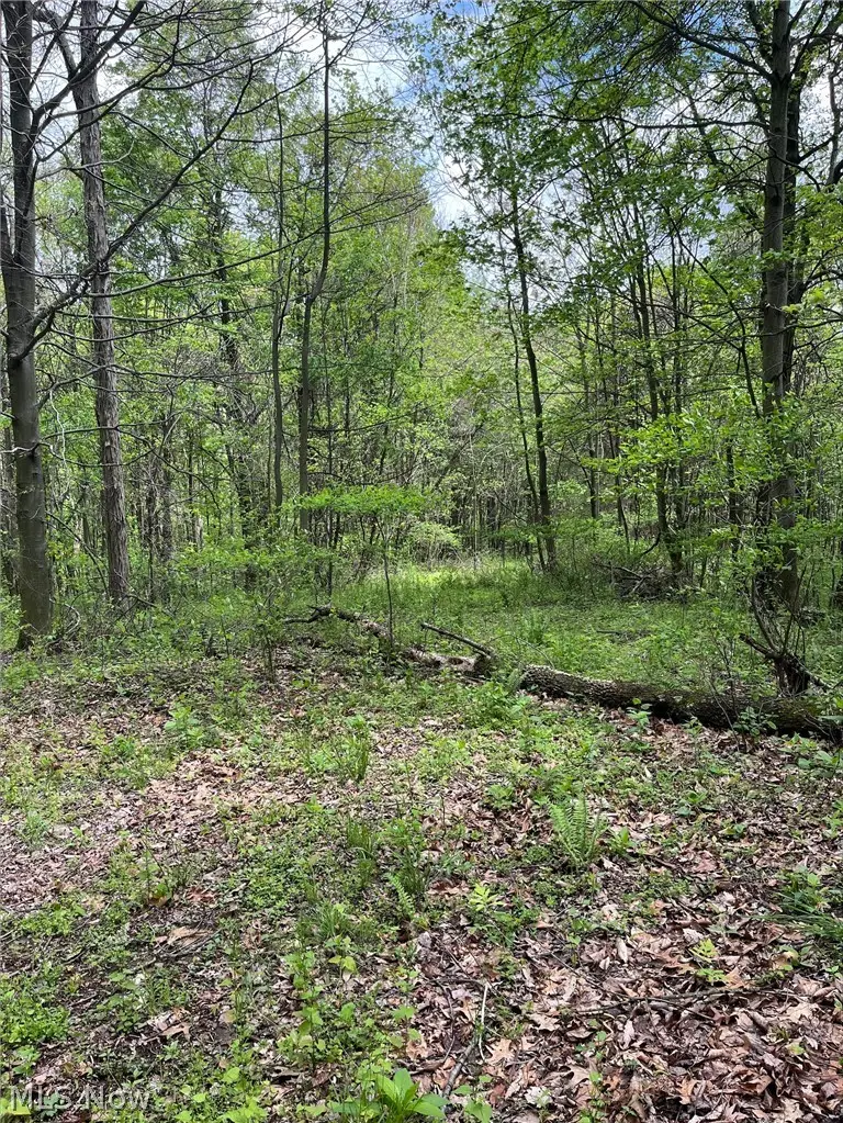 Sandy Ridge Road, Tippecanoe, OH 44699 - #3