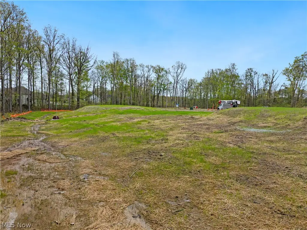 9533 River Birch Run, Brecksville, OH 44141 - #1