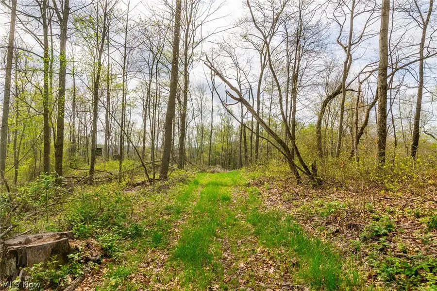 2115 Goss Fork Rd #2, Whipple, OH 45788 - #3