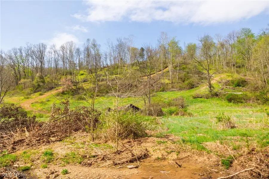 0 Twp Rd 63 Deans Fork Rd #4, Whipple, OH 45788 - #3